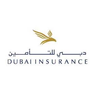 Top 14 Car Insurance in Dubai 9 Dubai insurance