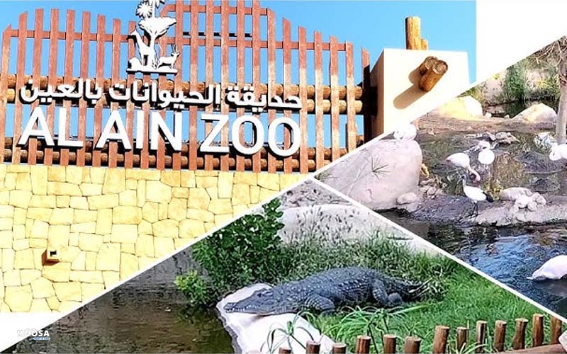 Al-Ain-Zoo-Things-to-do