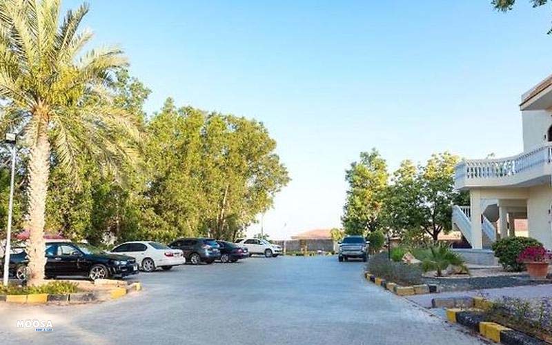 Barracuda Beach Resort car rental