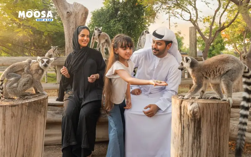 Child Friendly Activities at Sharjah Safari Park