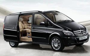 Mercedes Viano Photo of Mercedes Viano