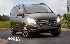 Mercedes Viano With Driver Photo of Mercedes Viano With Driver