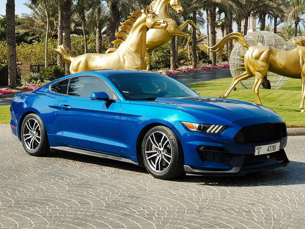 Ford Mustang 2017 Ford Mustang 2017