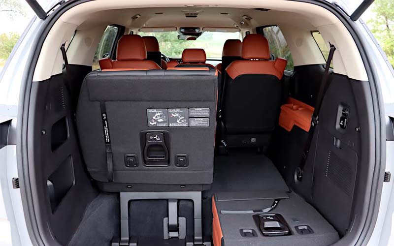 Kia Carnival with Driver