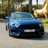 rent mustang 2017 dubai