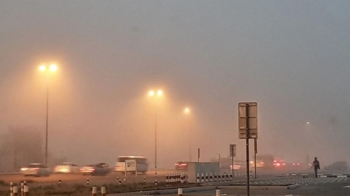 Tips on Driving Safely in Foggy Weather in UAE