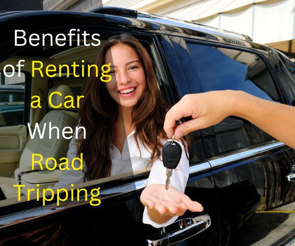 Benefits of Renting a Car