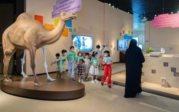 Sharjah Museum 