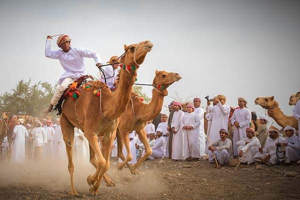 Visit The Camel Racing Festival