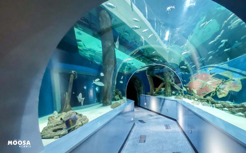 Sharjah Aquarium