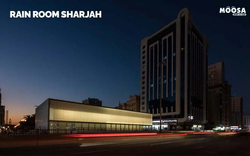 дождливой ночью у метро Rain Room Sharjah: полное руководство!