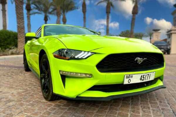 A vibrant lime green Ford Mustang EcoBoost parked in a palm-lined area, showcasing its sleek design and distinctive branding.