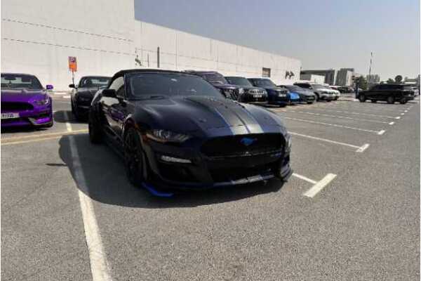 A sleek black Mustang GT sports car with blue stripes parked in a nearly empty lot on a clear day. Other cars are lined up in the background.