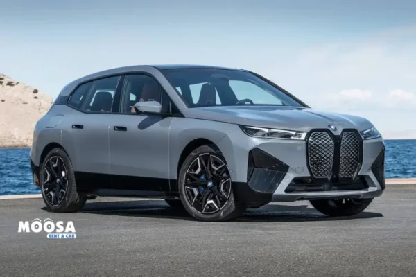 2025 BMW iX